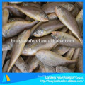 Price Of Frozen Yellow Croaker Fish